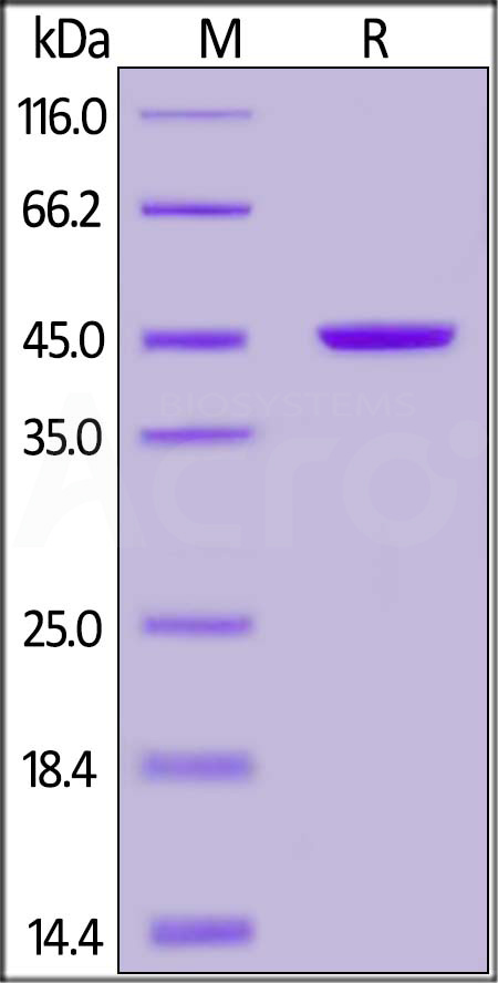 RPL-P3141-sds