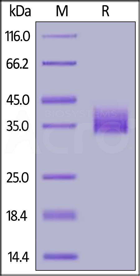 SG5-H82E9-sds