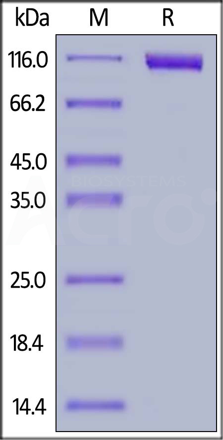 SI0-H82F6-sds