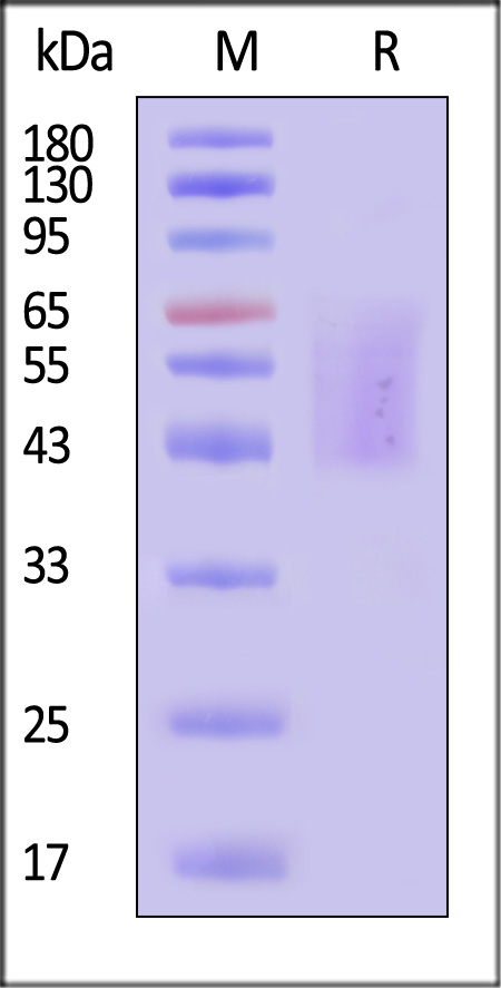 TEC-H52H3-sds