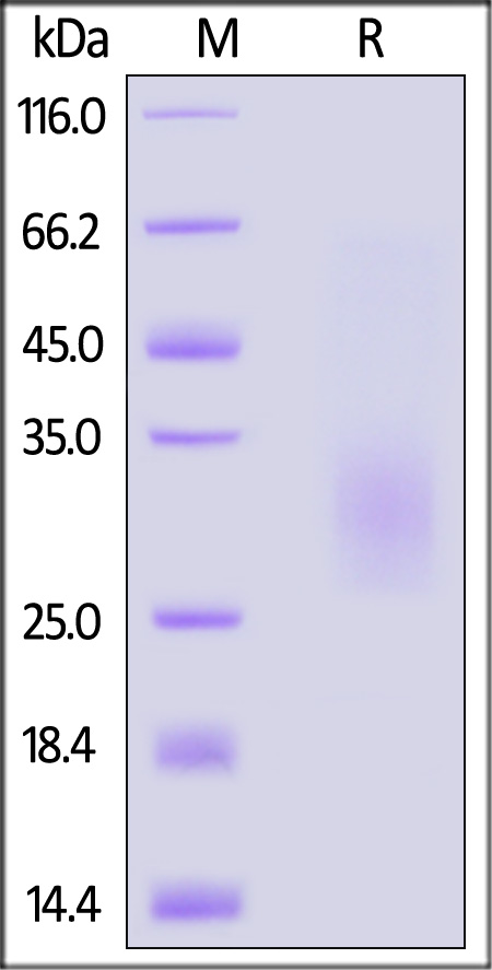 TRC-H52H4-sds