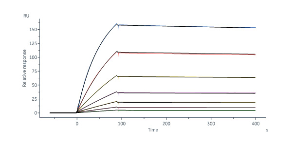  Glycoprotein H&L SPR