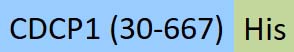 CD1-C52H3-structure