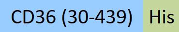 CD6-C52H6-structure