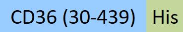 CD6-C52H8-structure