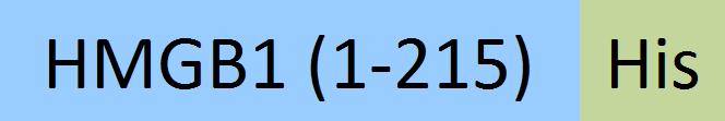 HM1-M52H6-structure