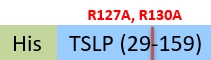 TSP-H5243-structure