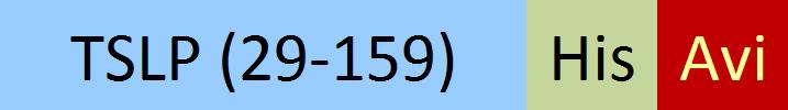 TSP-H82Eb-structure