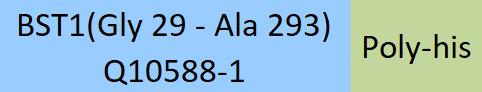 Online(Gly 29 - Ala 293) Q10588-1