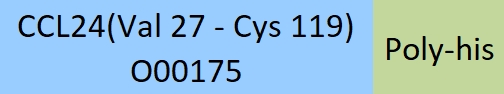 CCL24 Structure