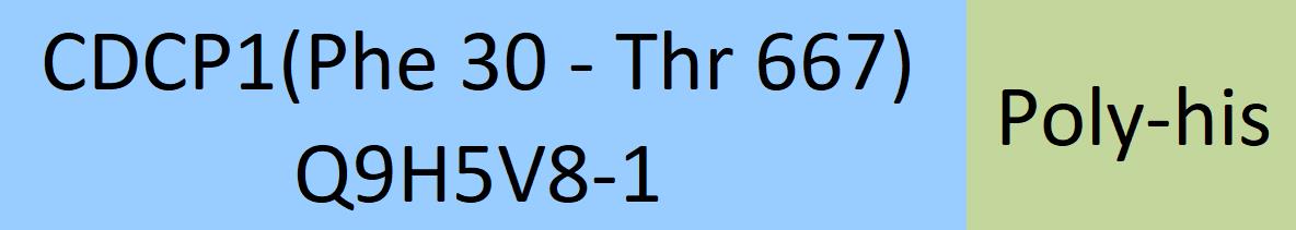 CDCP1 Structure