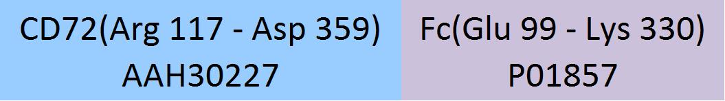 CD72 Structure