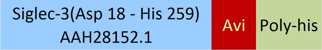 Siglec-3 Structure