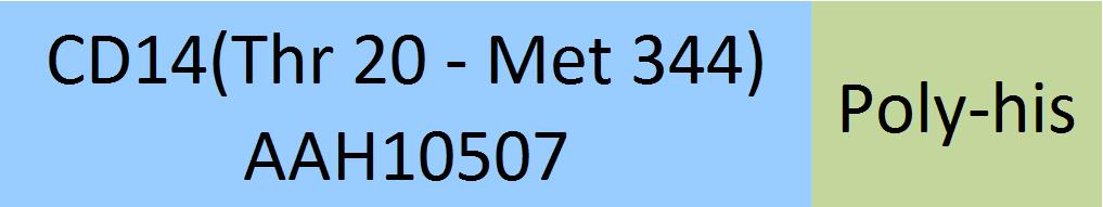 Online(Thr 20 - Met 344) AAH10507