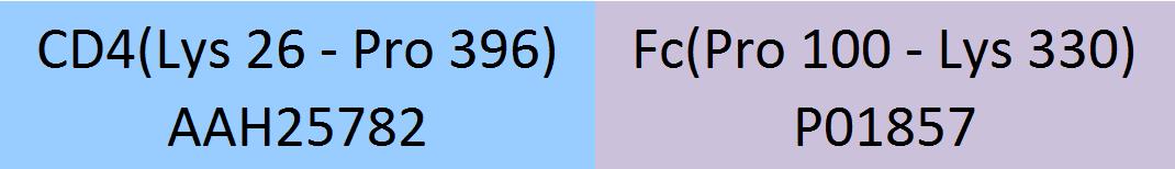 CD4 Structure