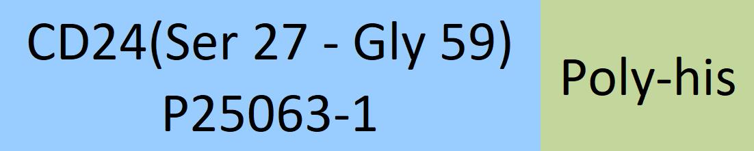 CD24 Structure