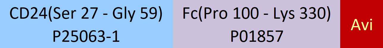 CD24 Structure