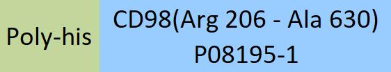 Online(Arg 206 - Ala 630) P08195-1