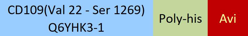 CD109 Structure
