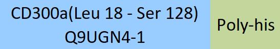 CD300a Structure