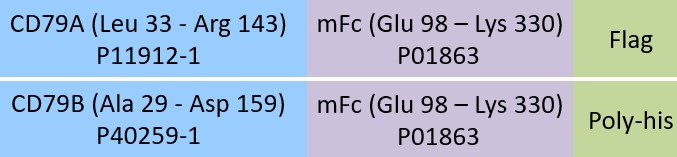 CD79A & CD79B Structure