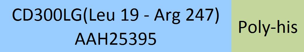 Online(Leu 19 - Arg 247) AAH25395