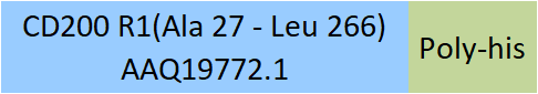 Online(Ala 27 - Leu 266) AAQ19772.1