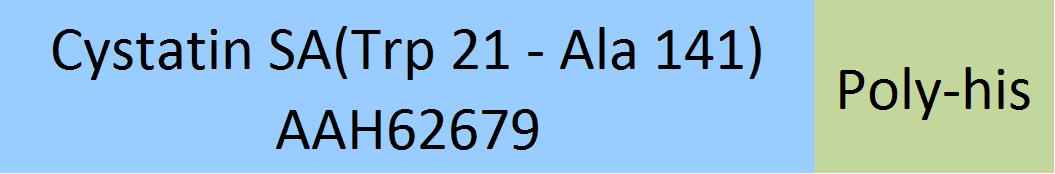 Cystatin SA Structure