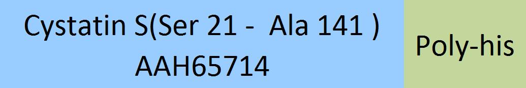 Cystatin S Structure