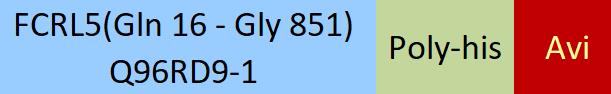 FCRL5 Structure
