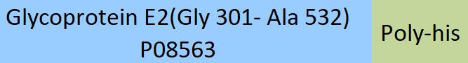 Glycoprotein E2 Structure