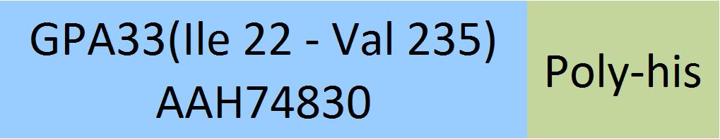 GPA33 Structure