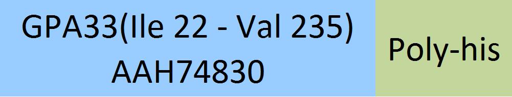 GPA33 Structure