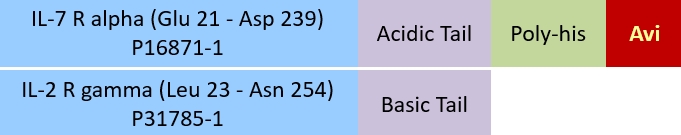 IL-7 R alpha & IL-2 R gamma Structure