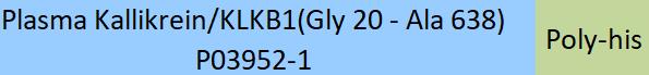 Plasma Kallikrein/KLKB1 Structure