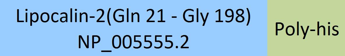 Online(Gln 21 - Gly 198) NP_005555.2