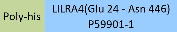 LILRA4 Structure