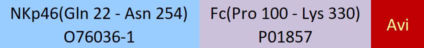 NKp46 Structure