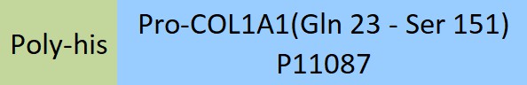 Pro-COL1A1 Structure