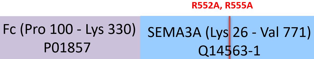 Semaphorin 3A Structure