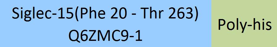 Siglec-15 Structure