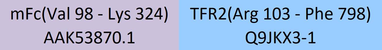 Transferrin R2 Structure