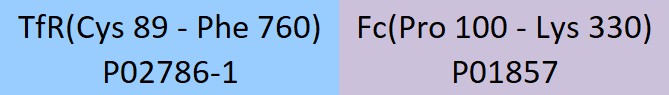 Transferrin R Structure