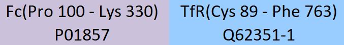 Transferrin R Structure