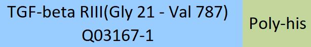 TGF-beta RIII Structure