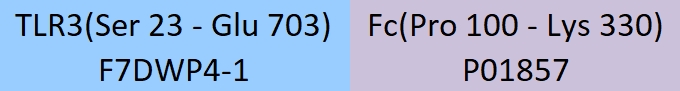 TLR3 Structure