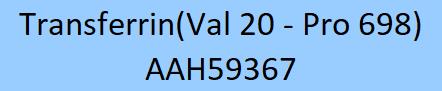 Transferrin Structure