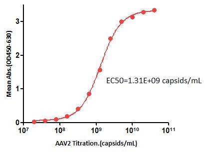  AAV TYPICAL DATA