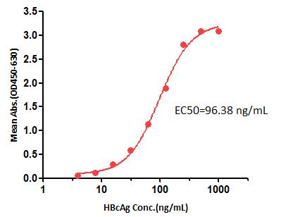  HBcAg TYPICAL DATA