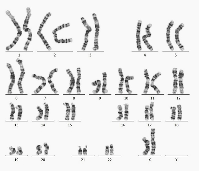 GMP Laminin521 Validation Data